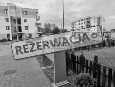 Zdjęcie 15173172