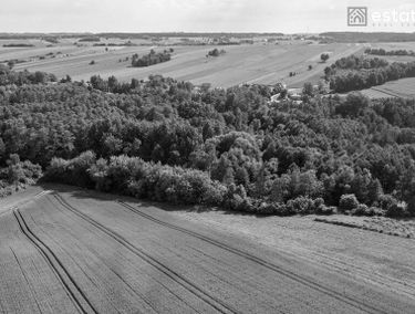 Zdjęcie 15173187