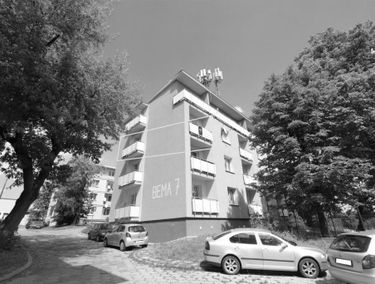Zdjęcie 15173488