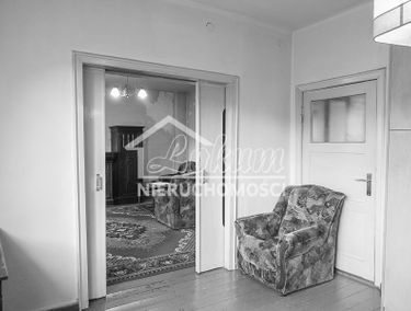 Zdjęcie 15173595