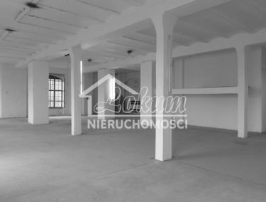 Zdjęcie 15173652