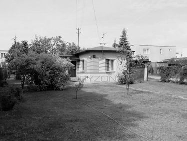 Zdjęcie 15173993