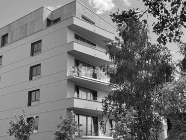 Zdjęcie 15174008