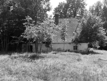 Zdjęcie 15174512