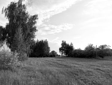 Zdjęcie 15174586