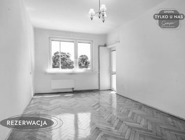 Zdjęcie 15174671