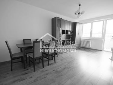 Zdjęcie 15174890
