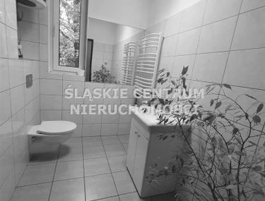 Zdjęcie 15175255