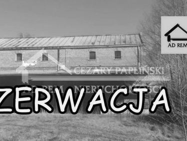 Zdjęcie 15176490