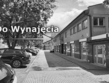 Zdjęcie 15176728