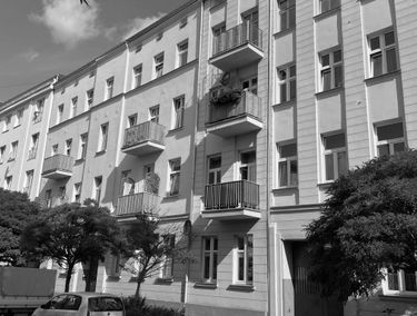 Zdjęcie 15177502