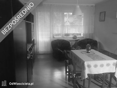 Zdjęcie 15177550