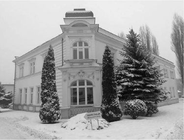 Zdjęcie 15177685
