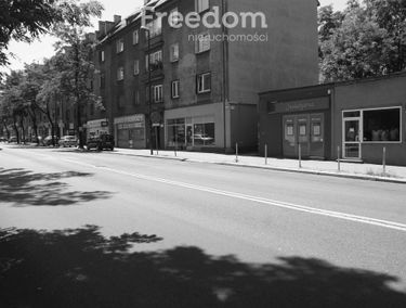 Zdjęcie 15177854