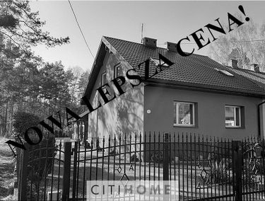 Zdjęcie 15177926