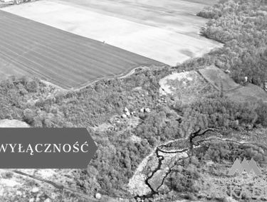 Zdjęcie 15178099