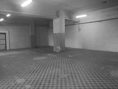 Zdjęcie 15178660