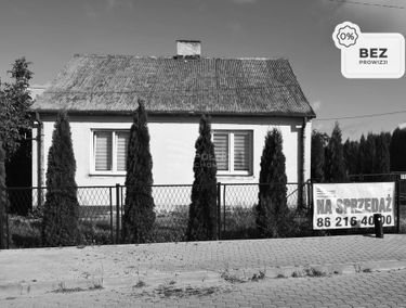 Zdjęcie 15178753