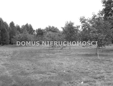 Zdjęcie 15179389