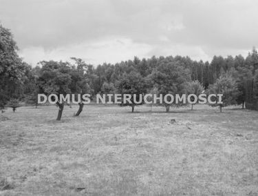 Zdjęcie 15179398