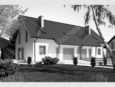 Zdjęcie 15179452