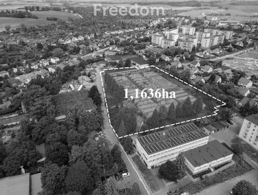 Zdjęcie 15179468