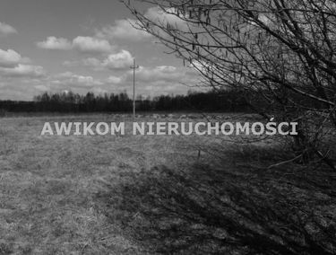 Zdjęcie 15180371