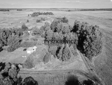 Zdjęcie 15181471
