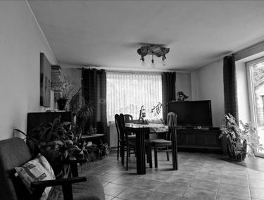 Zdjęcie 15182441