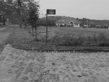Zdjęcie 15182543