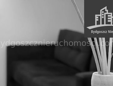 Zdjęcie 15182659