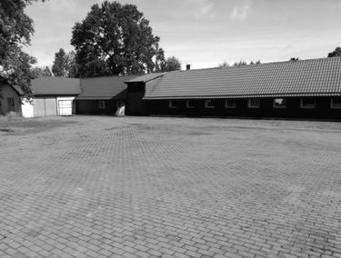Zdjęcie 15182866