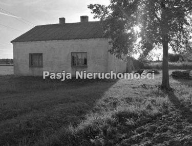 Zdjęcie 15182889