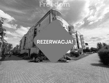 Zdjęcie 15183215