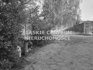 Zdjęcie 15183315