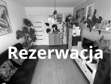 Zdjęcie 15183329