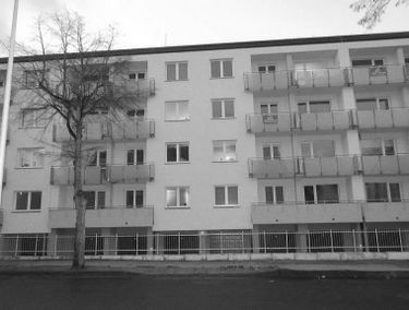 Zdjęcie 15184031