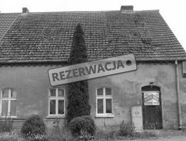 Zdjęcie 15184039