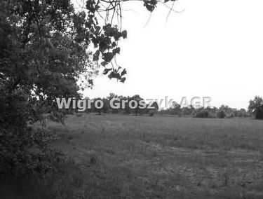 Zdjęcie 15184739