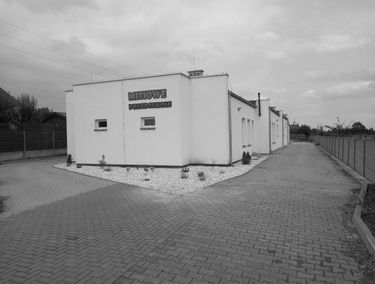 Zdjęcie 15184884