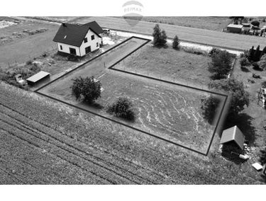 Zdjęcie 15185193