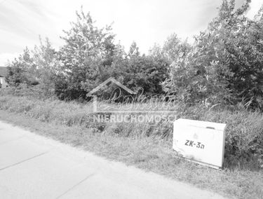 Zdjęcie 15185234