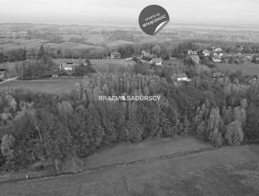 Zdjęcie 15185320