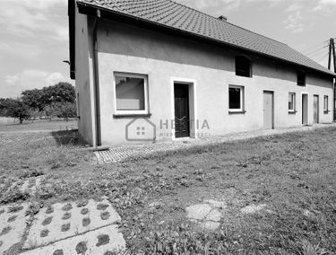 Zdjęcie 15185997