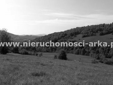 Zdjęcie 15186233