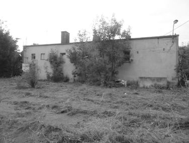 Zdjęcie 15187970