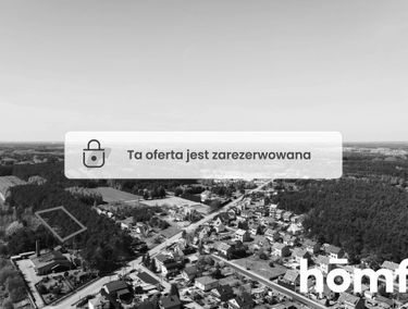 Zdjęcie 15188657