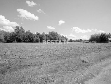 Zdjęcie 15188664