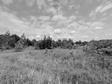 Zdjęcie 15190006