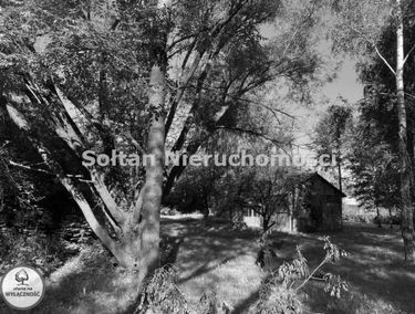 Zdjęcie 15190449